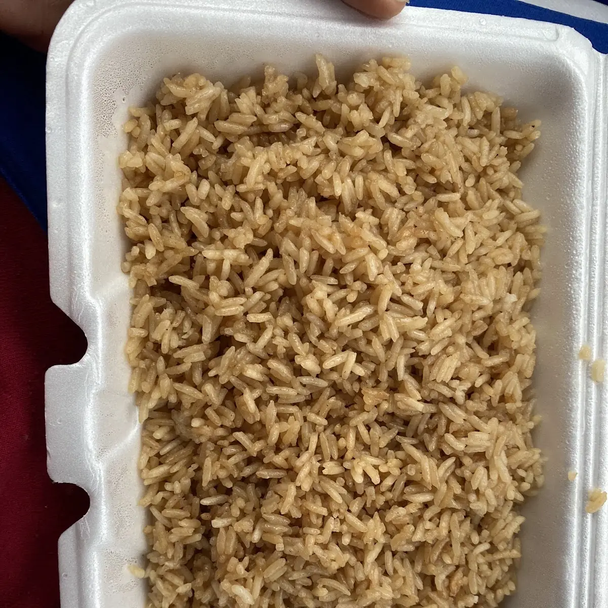 Plain Fried Rice