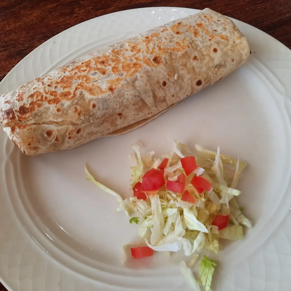 Burrito Especial