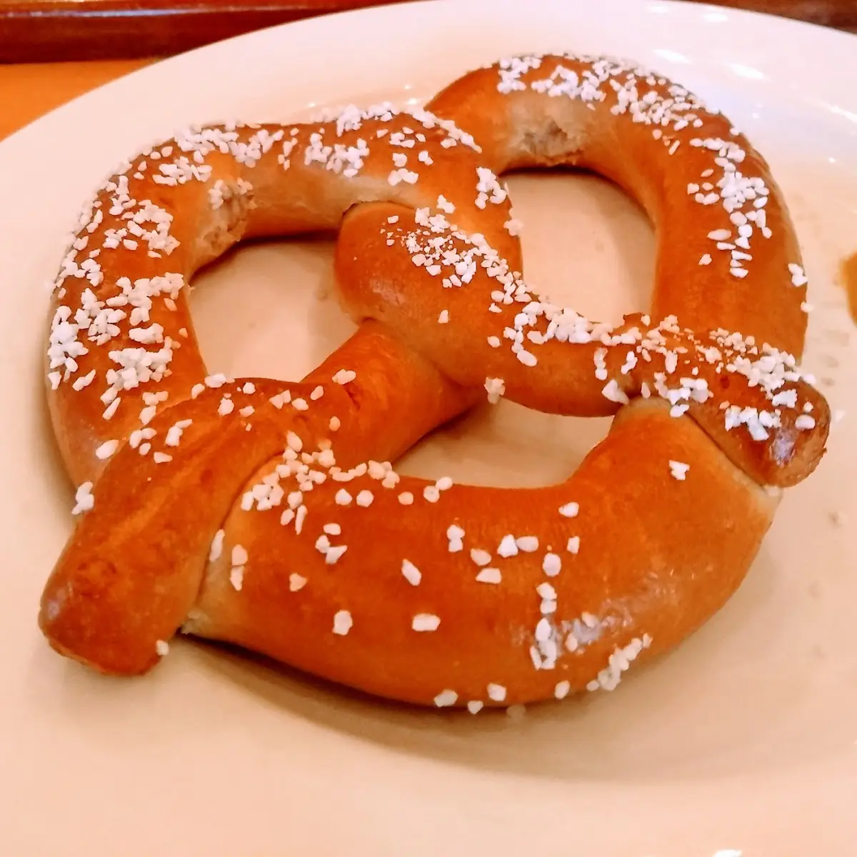 Big Soft Pretzel