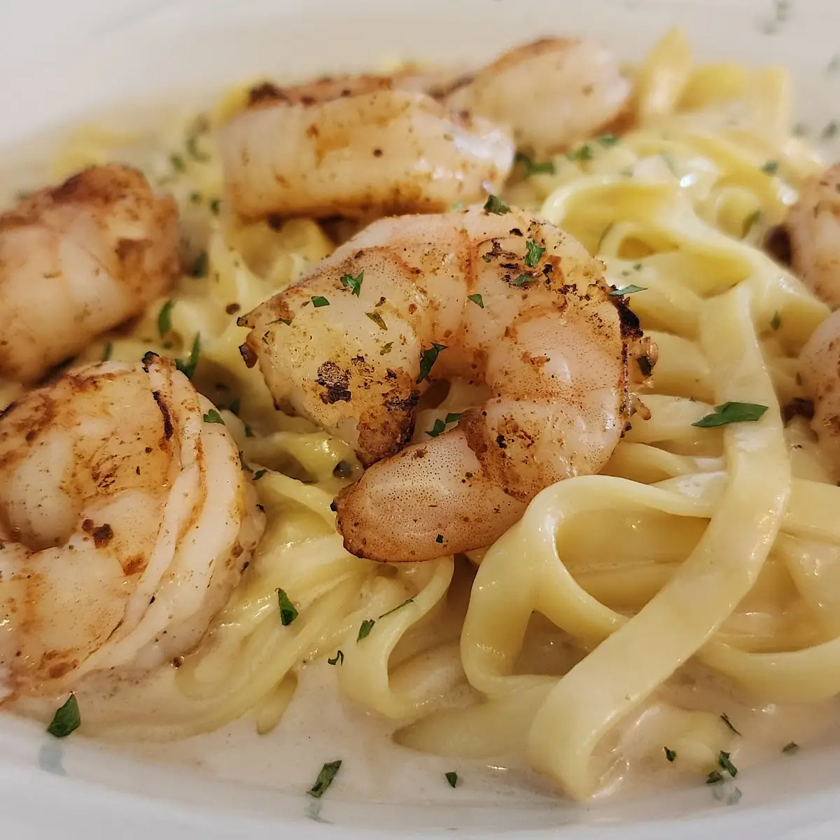 Shrimp Alfredo