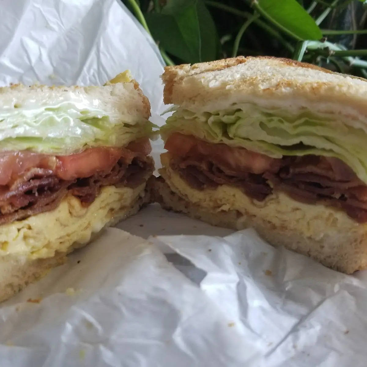Bacon Egg Breakfast Sandwich