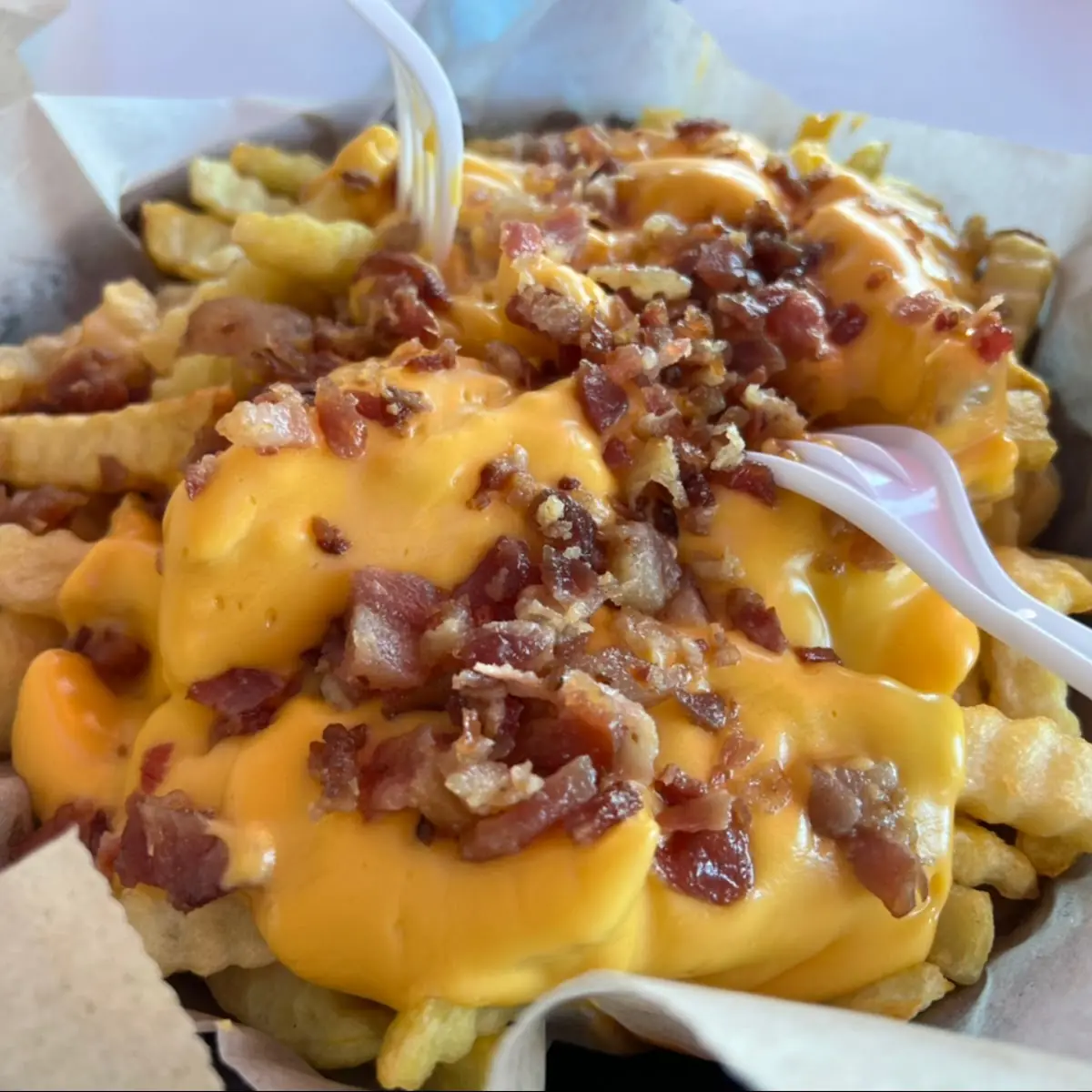 Loaded Bacon Cheese Fries