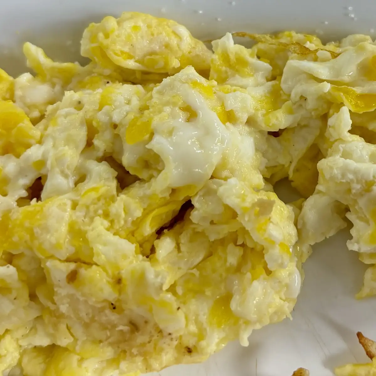 Scrambled Eggs