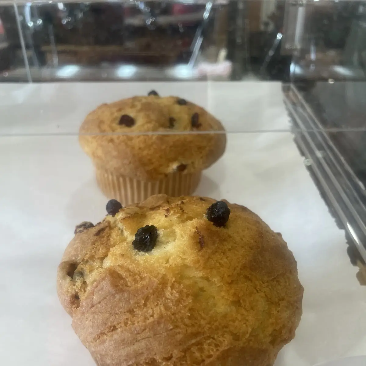 Blueberry Muffin