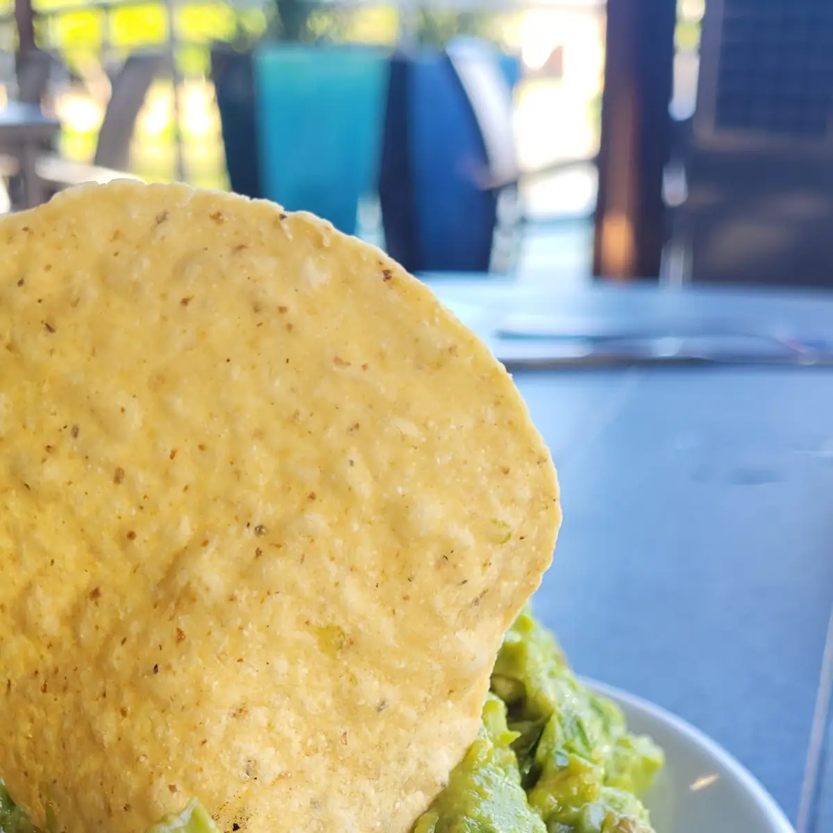 Fresh Guacamole