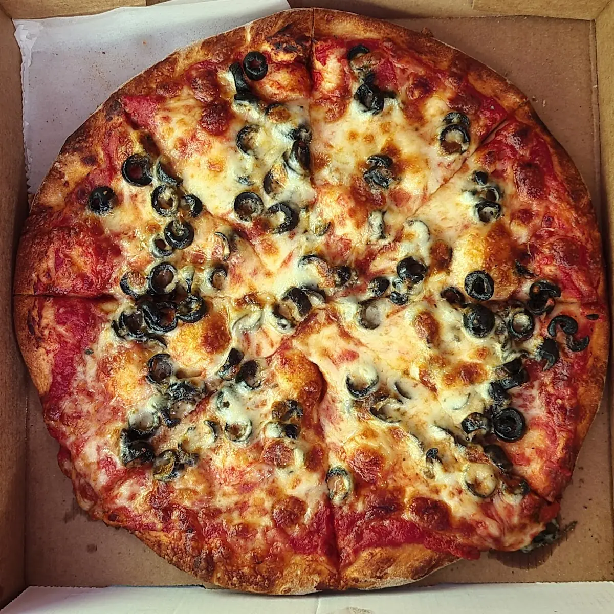 Black Olives & Extra Cheese Pizza