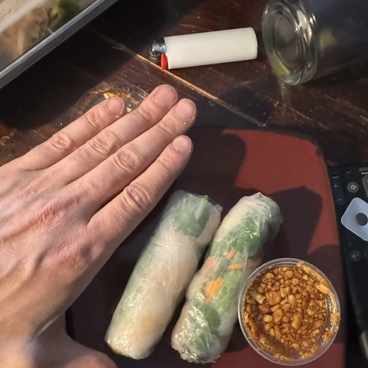 Spring Rolls 2
