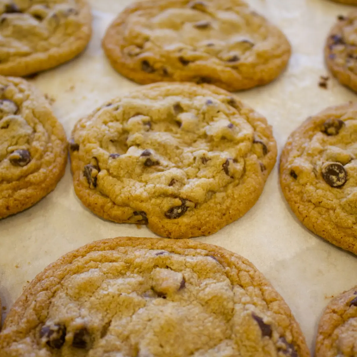 Chocolate Chip Cookie