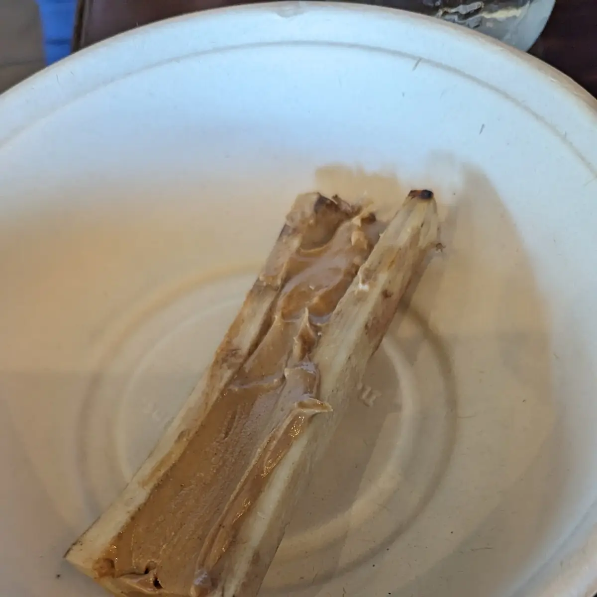 Bone Marrow