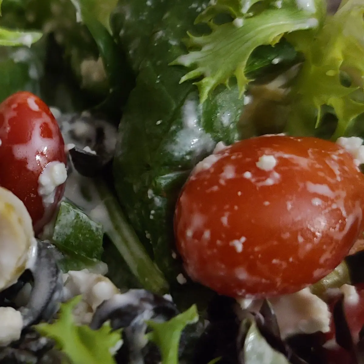 Gabriel's House Salad