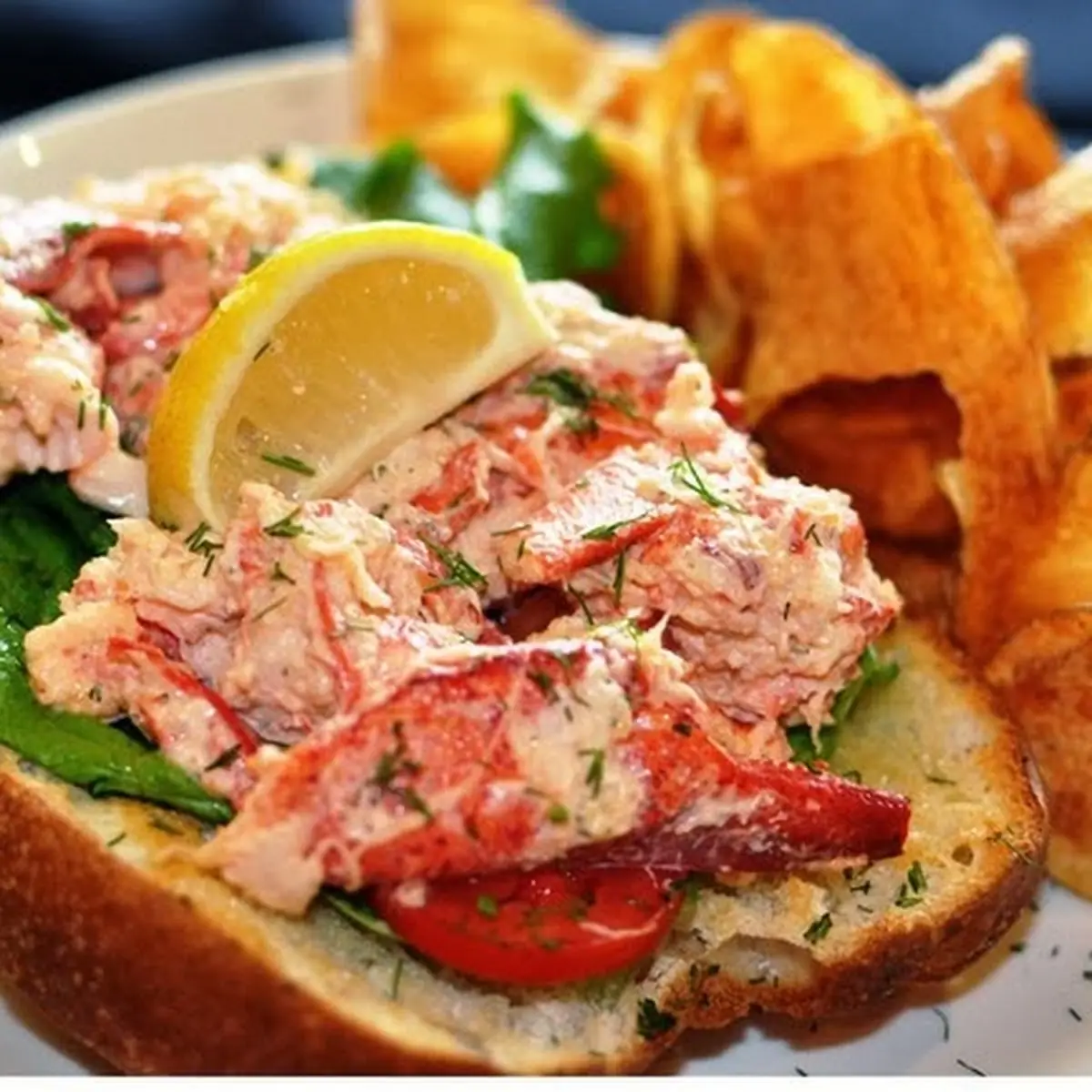 Lobster Roll