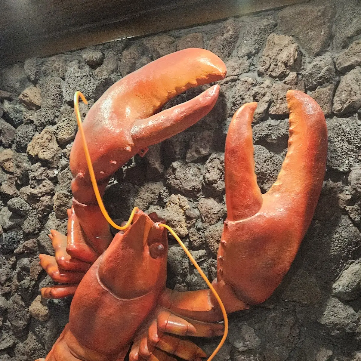 Lobster Tail