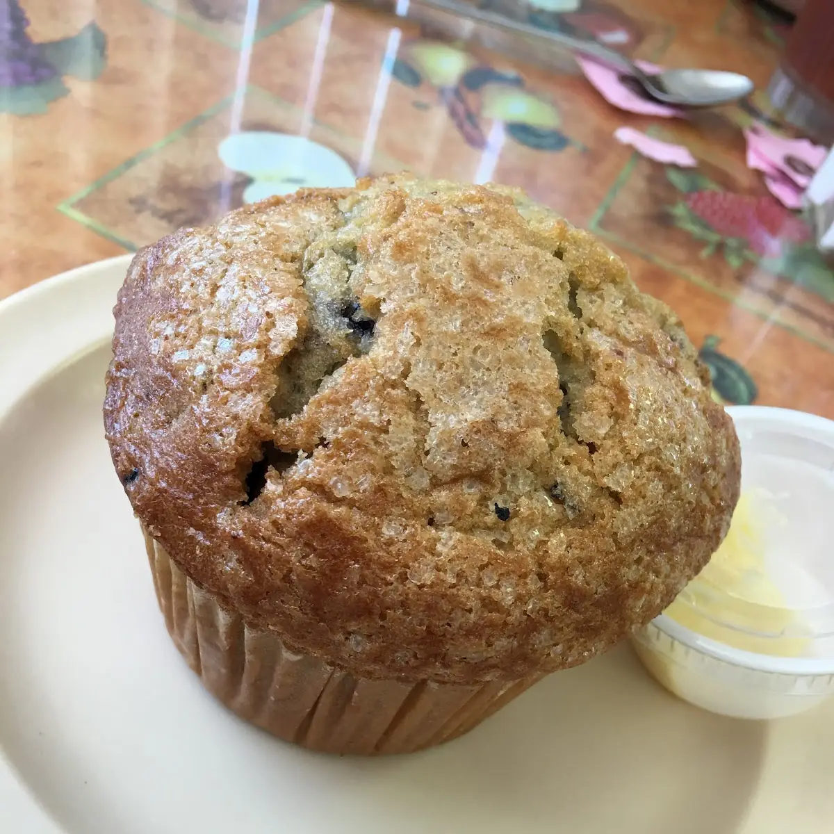 Blueberry Muffin