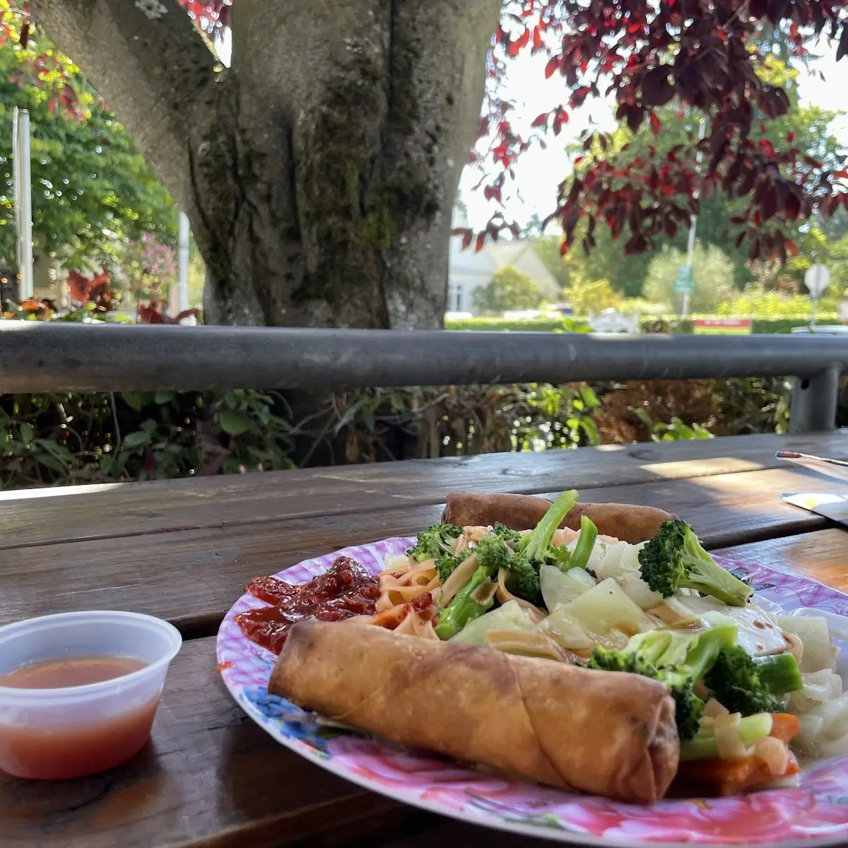 Spring Rolls