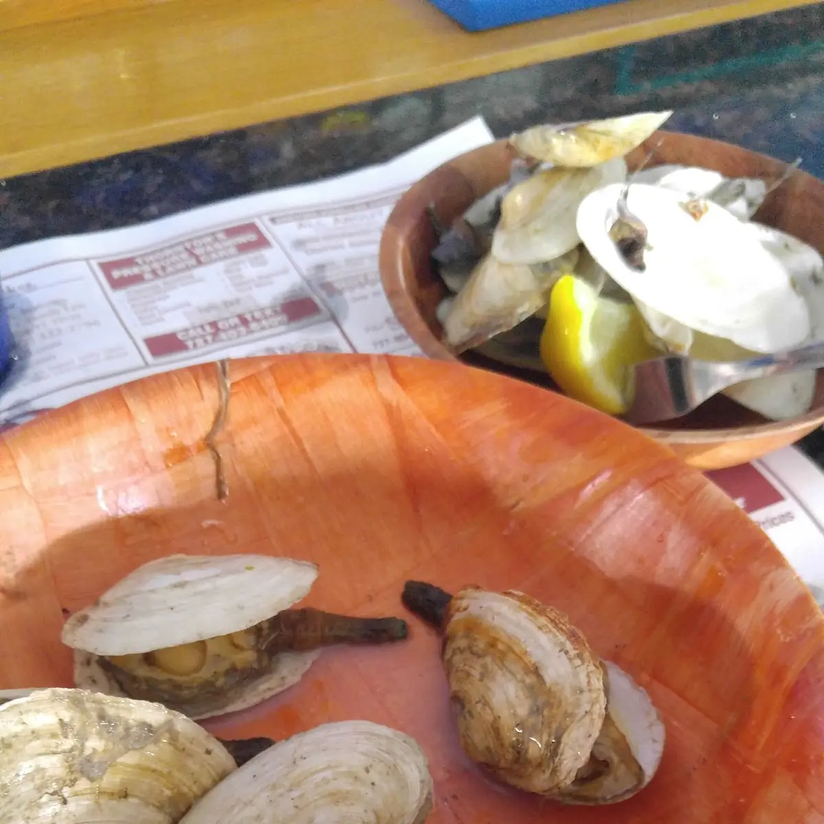 Hard Shell Middle Neck Clams