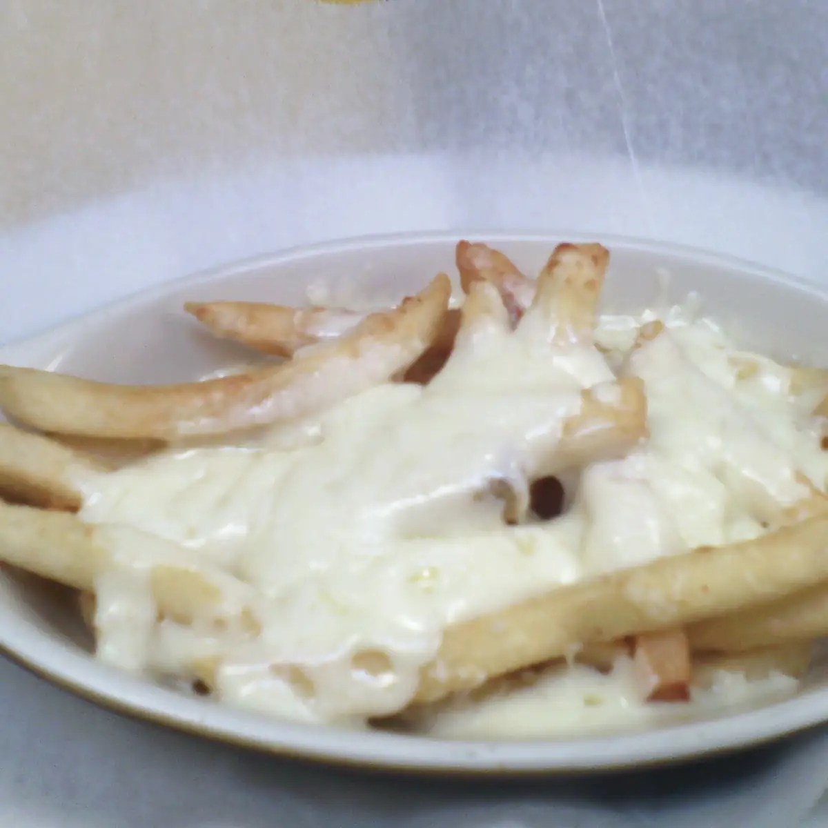 Mozzarella Cheese Fries