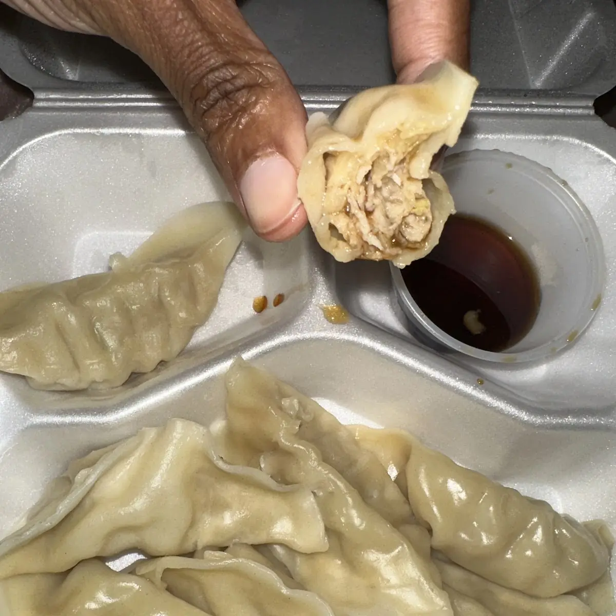 Steamed Dumplings