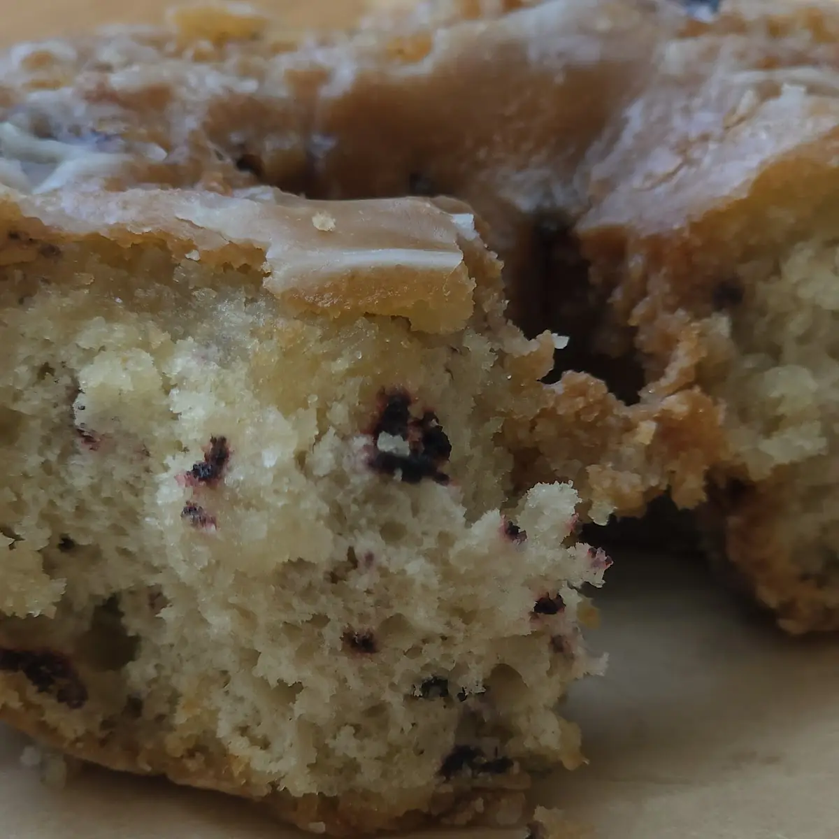 Cinnamon Raisin Bagel