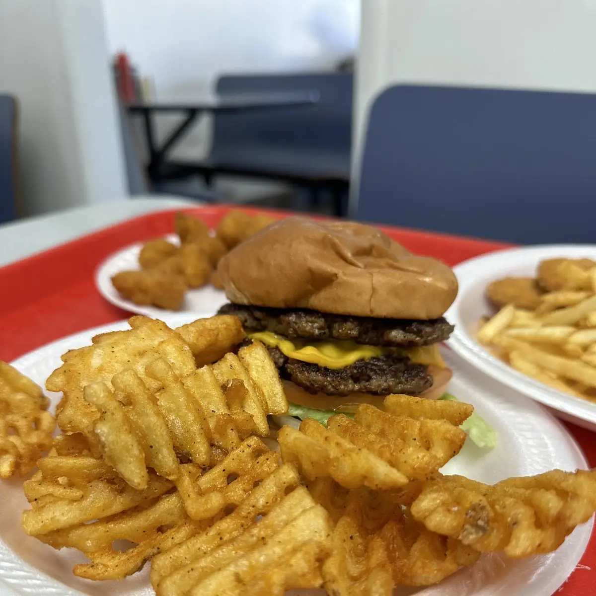 Hamburger and Waffle Fries