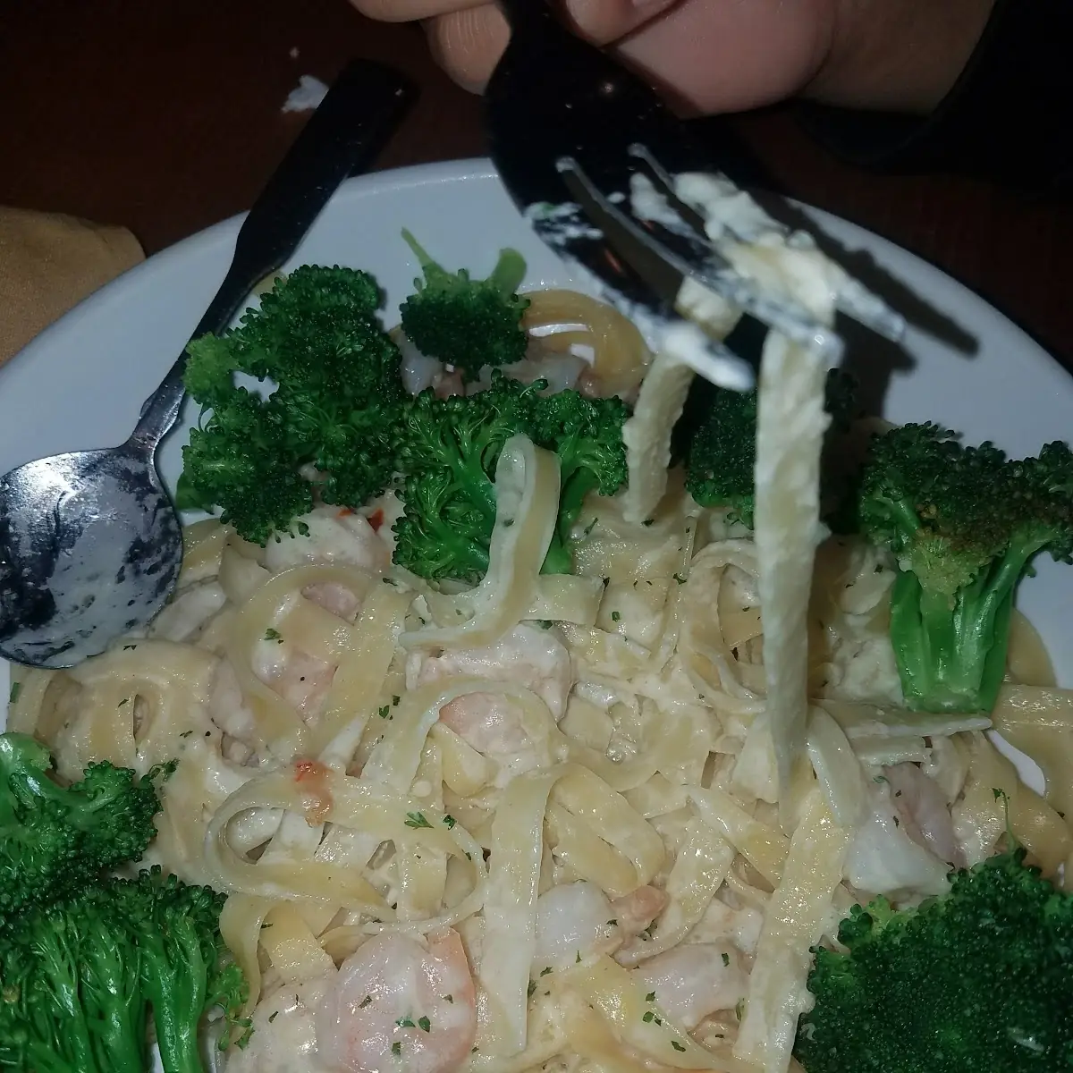Shrimp Alfredo