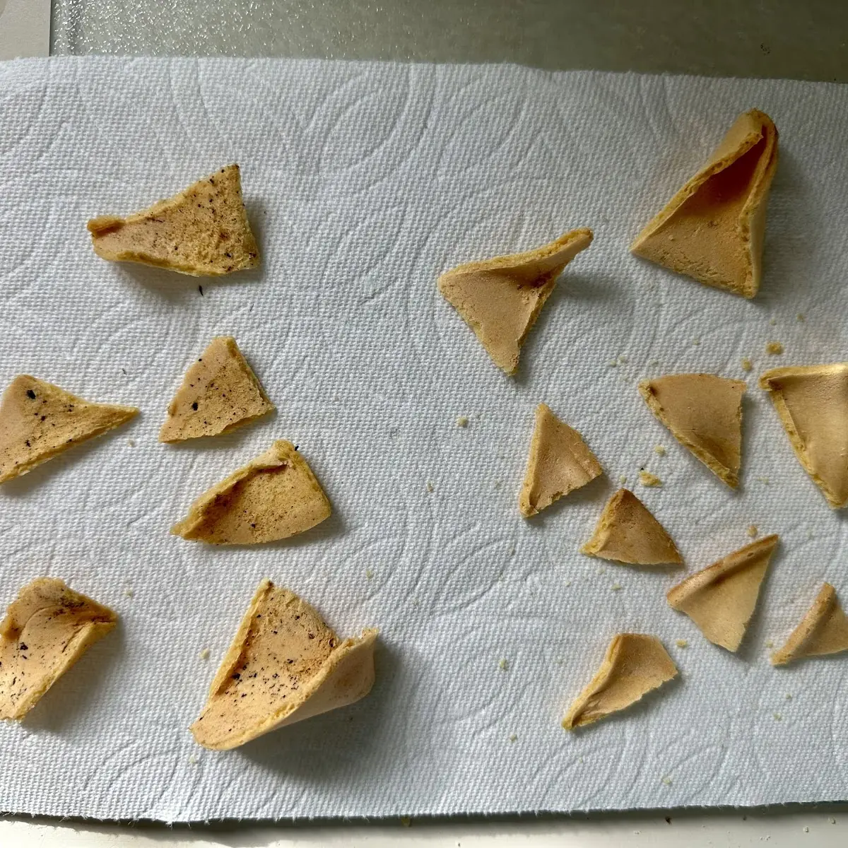 Fortune Cookies