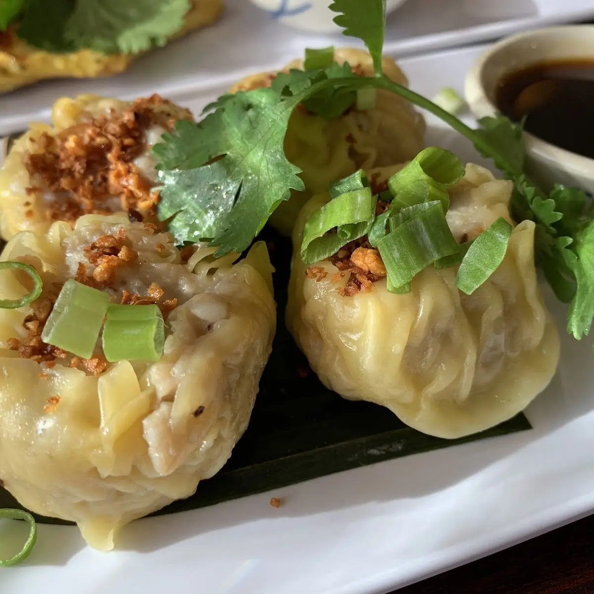 Steamed Dumplings