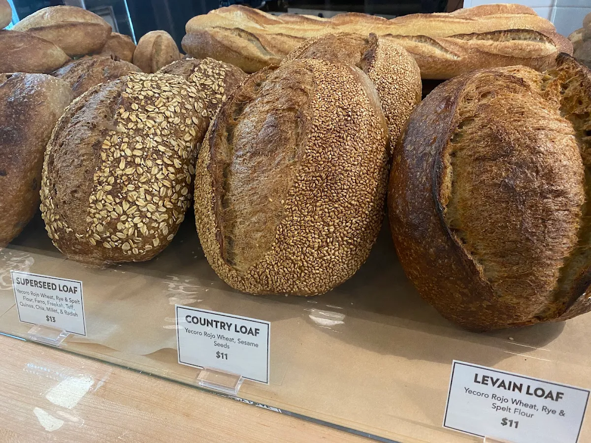 Sourdough Bread