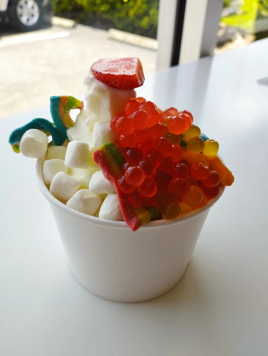 Assorted Frozen Yogurt Cups
