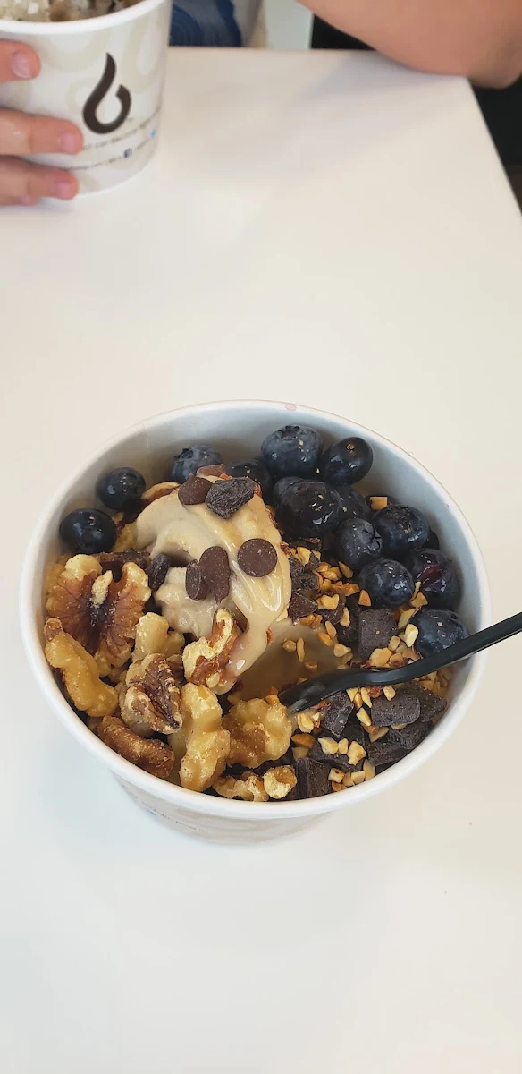 Sugar Free Yogurt with Toppings