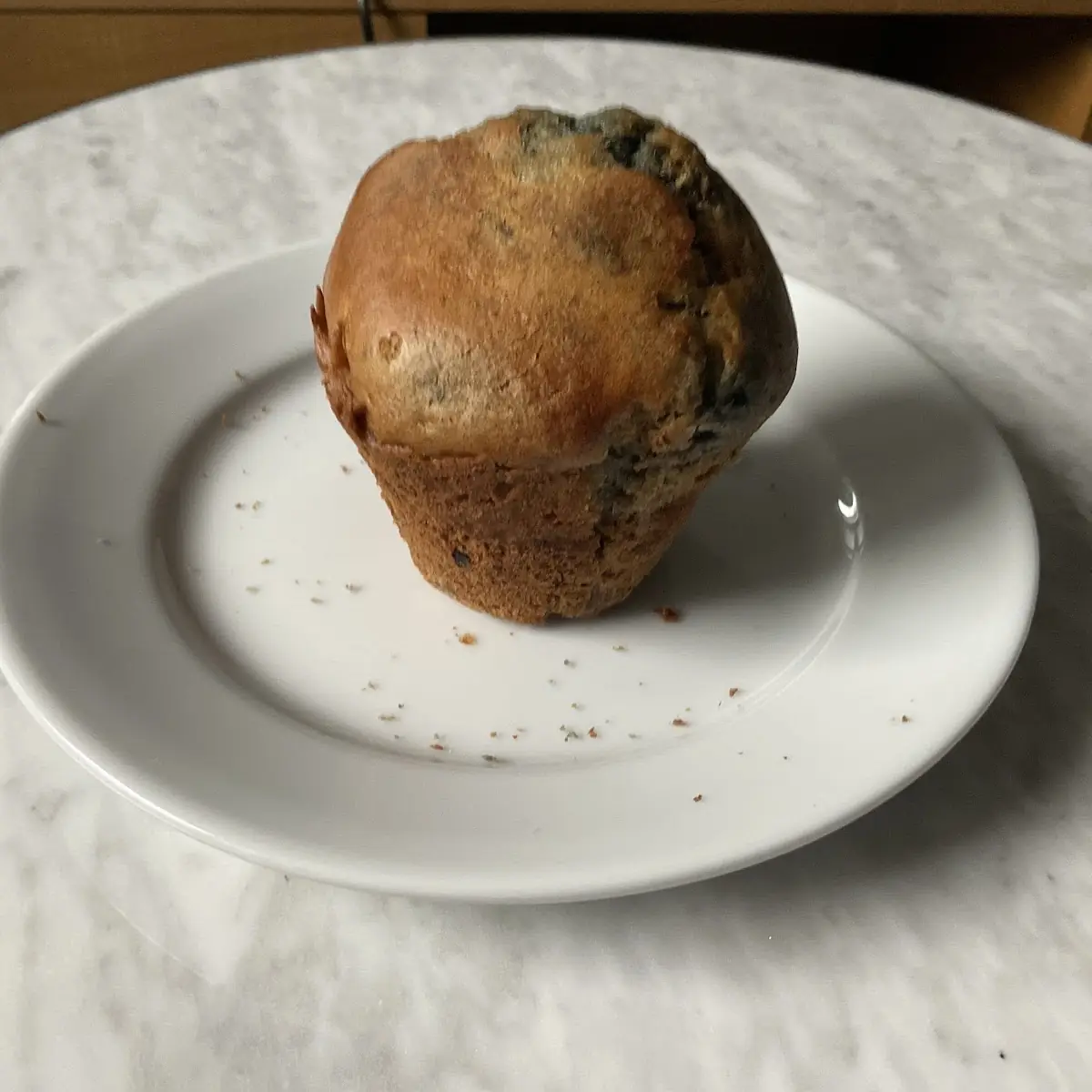 Blueberry Muffin
