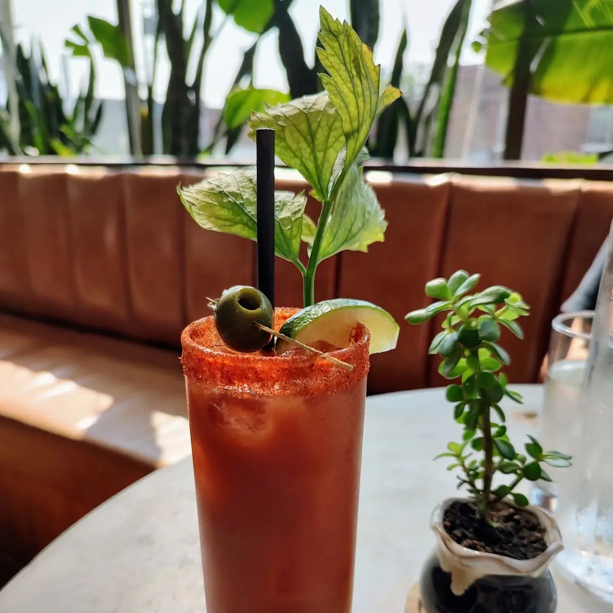 Bloody Mary