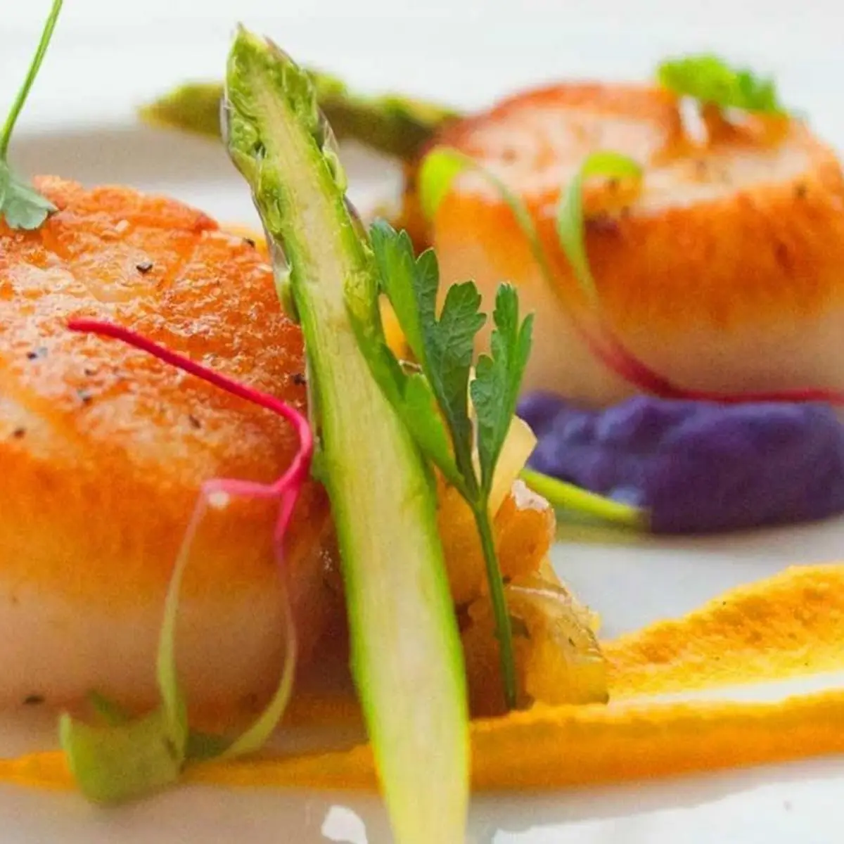 Sea Scallops