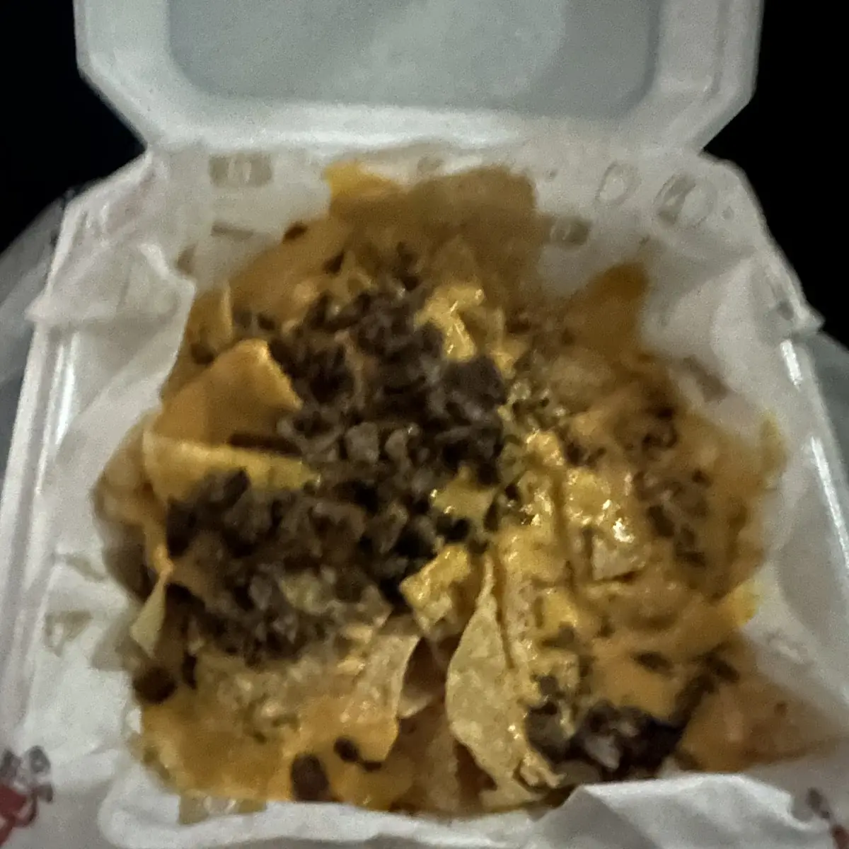 Carne Asada Fries