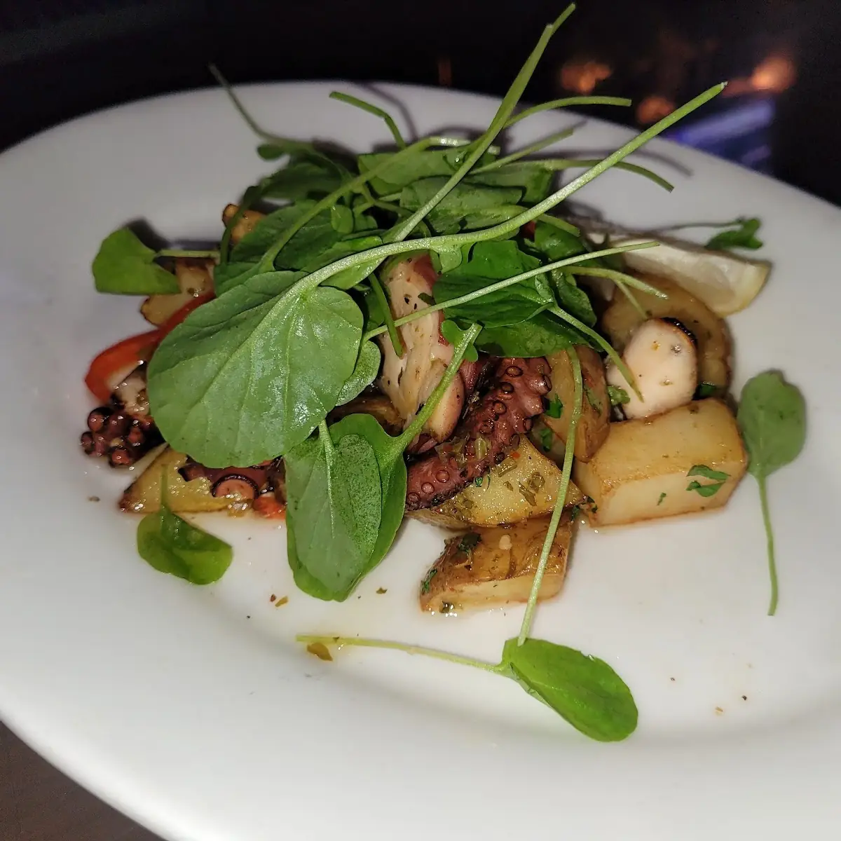 Grilled Octopus