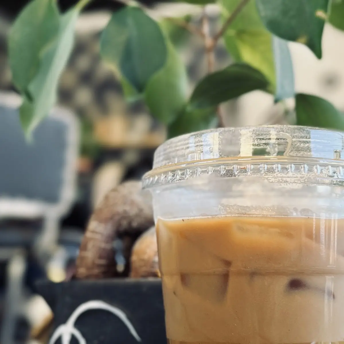 Teddy Graham Latte