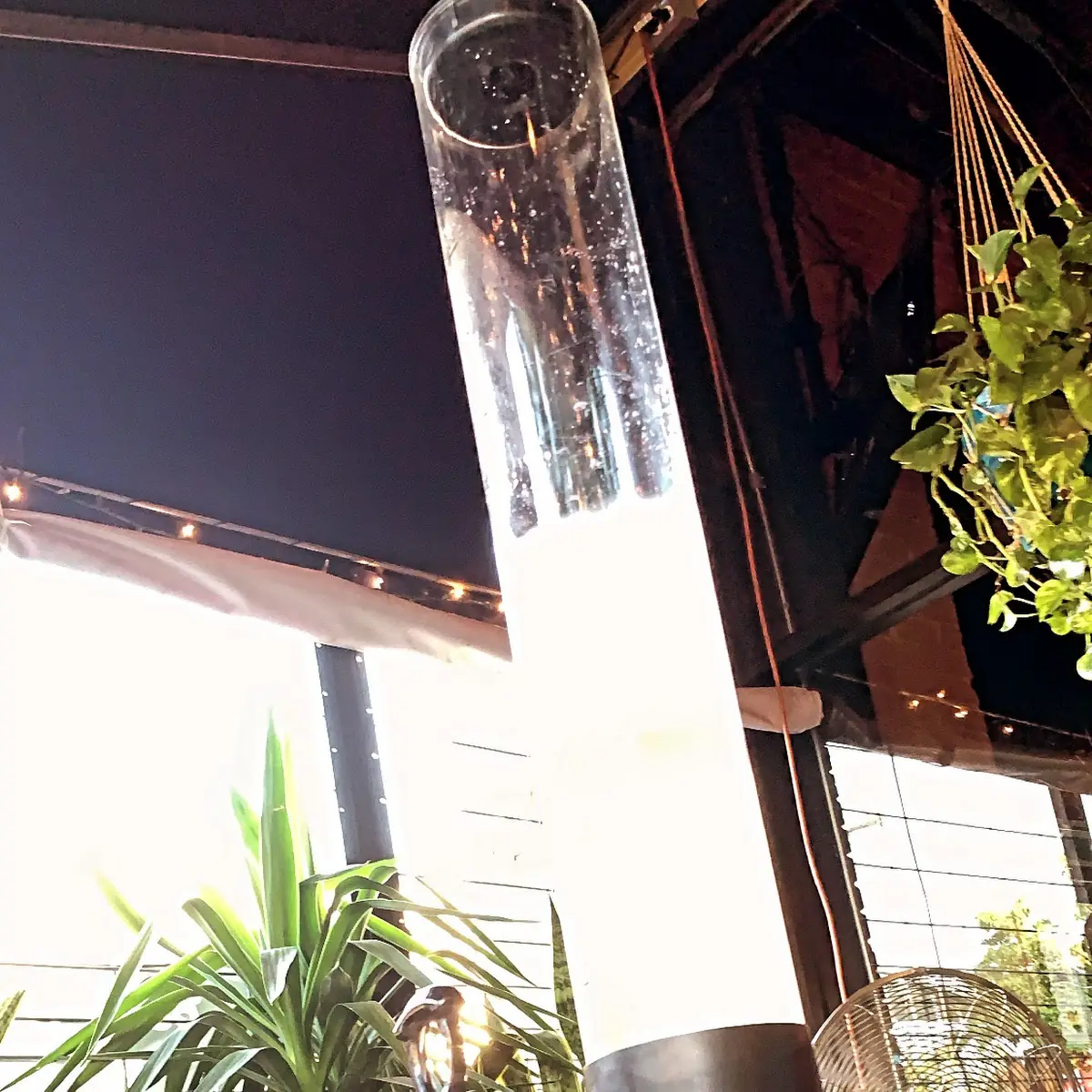 Mimosa Tower