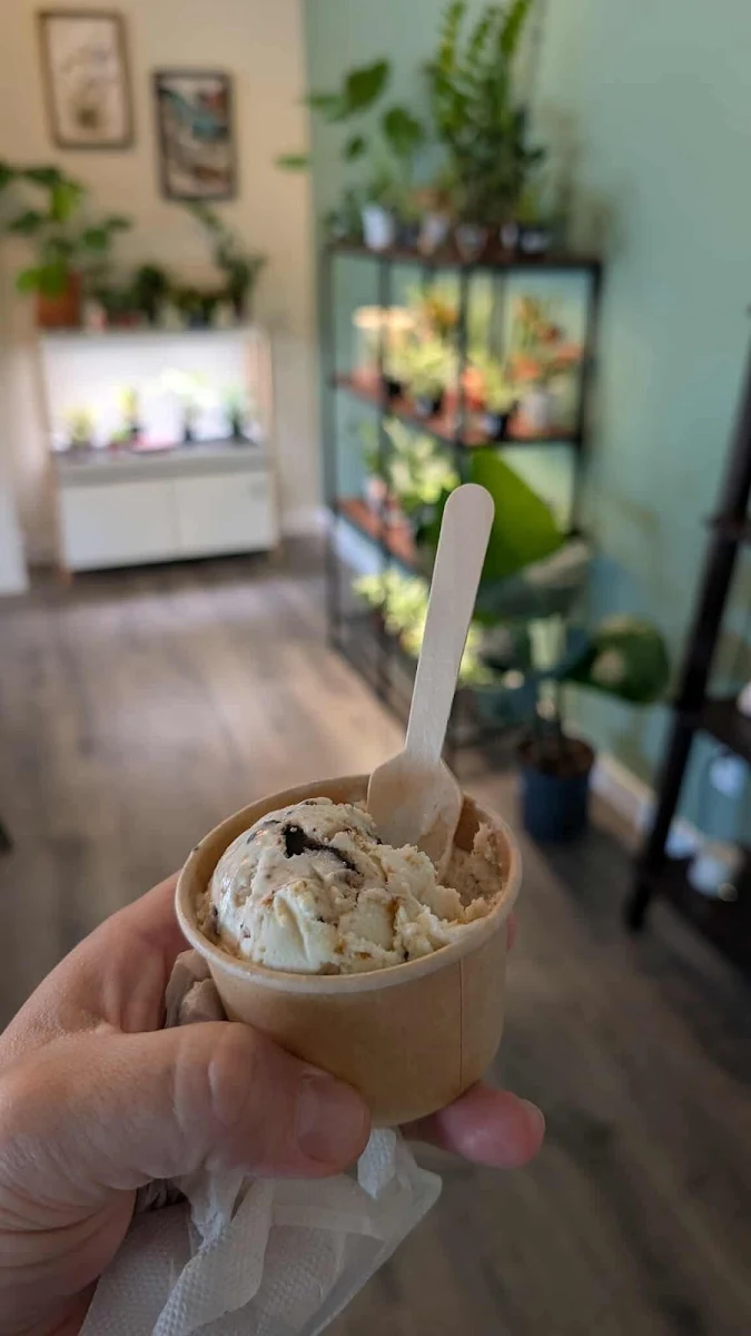 Gelato