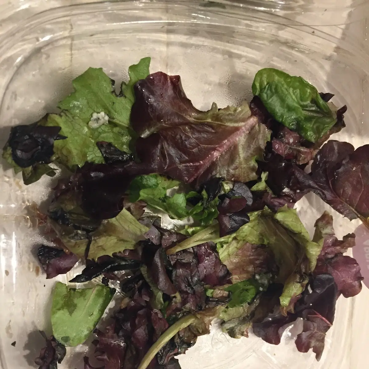 Apple Pecan Salad