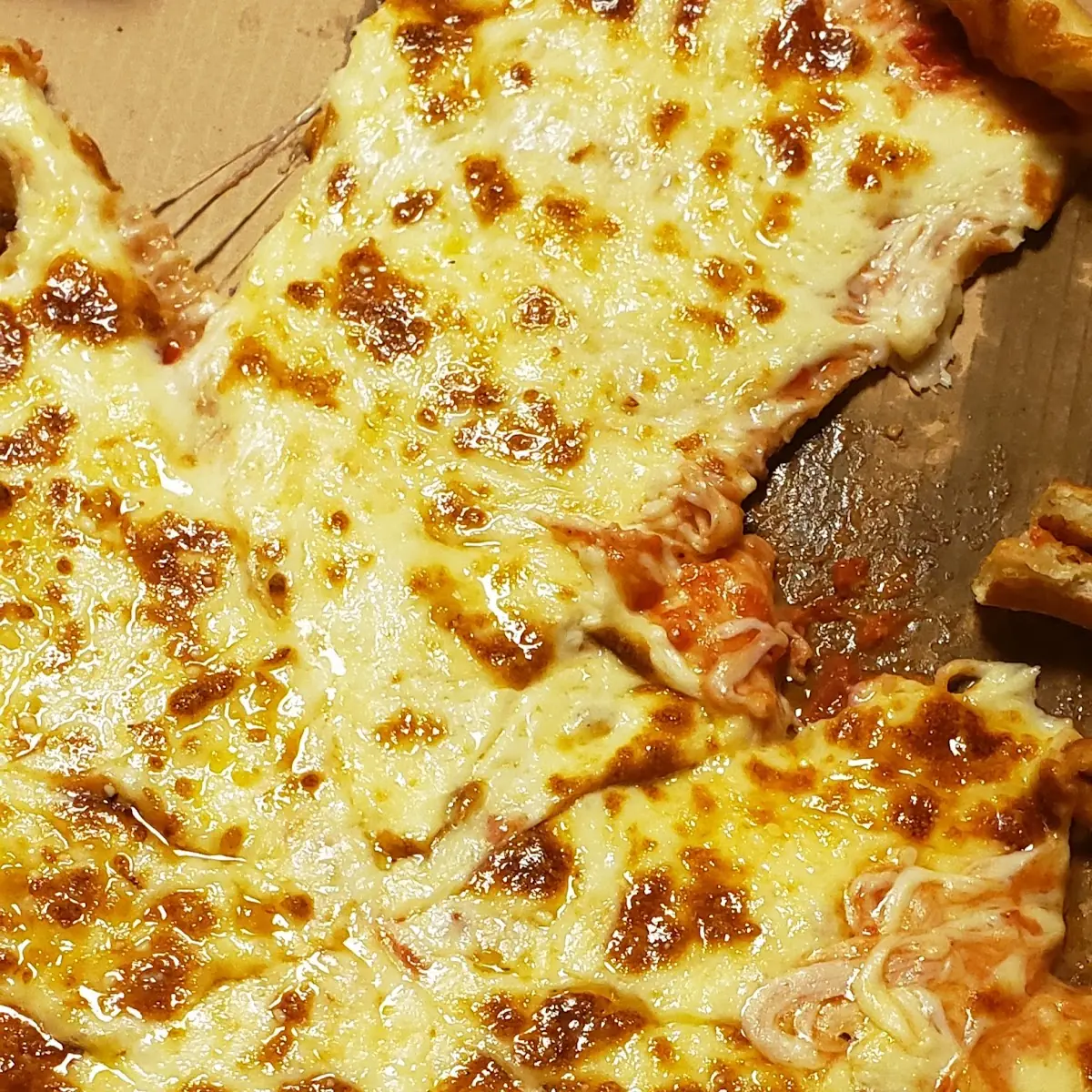 Extra Cheese Pizza
