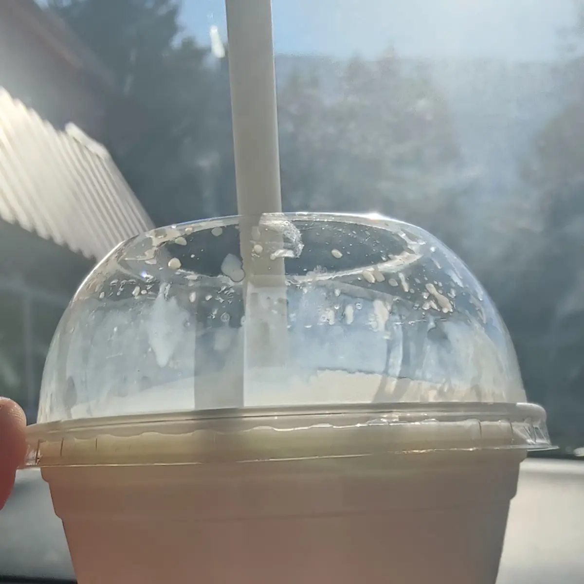 Vanilla Shake