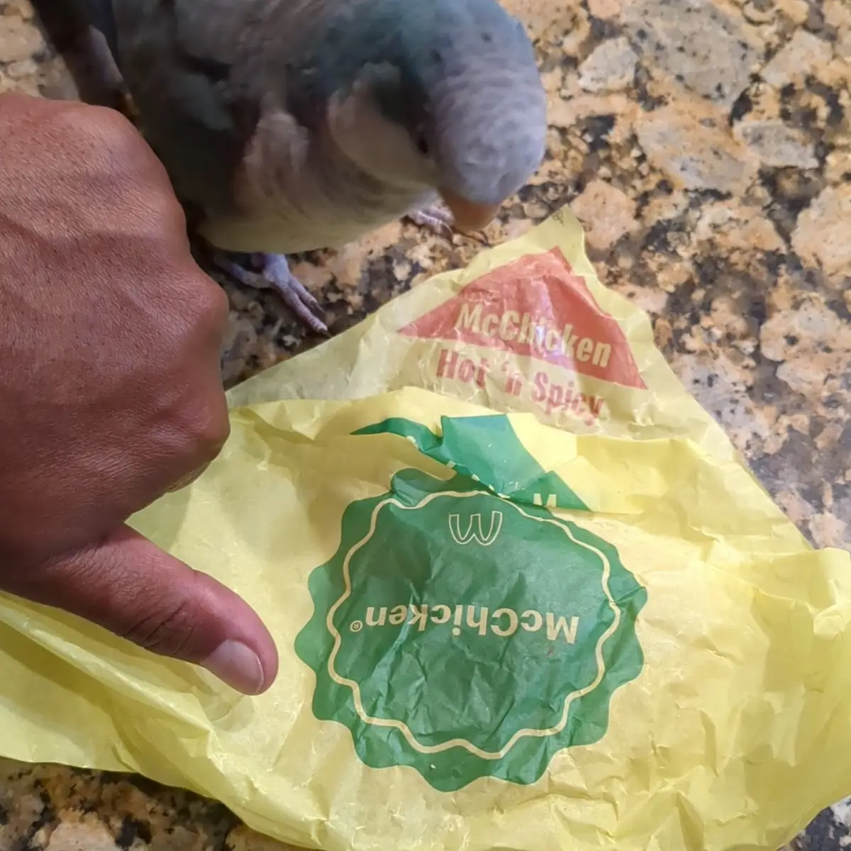 Crispy Chicken Sandwich