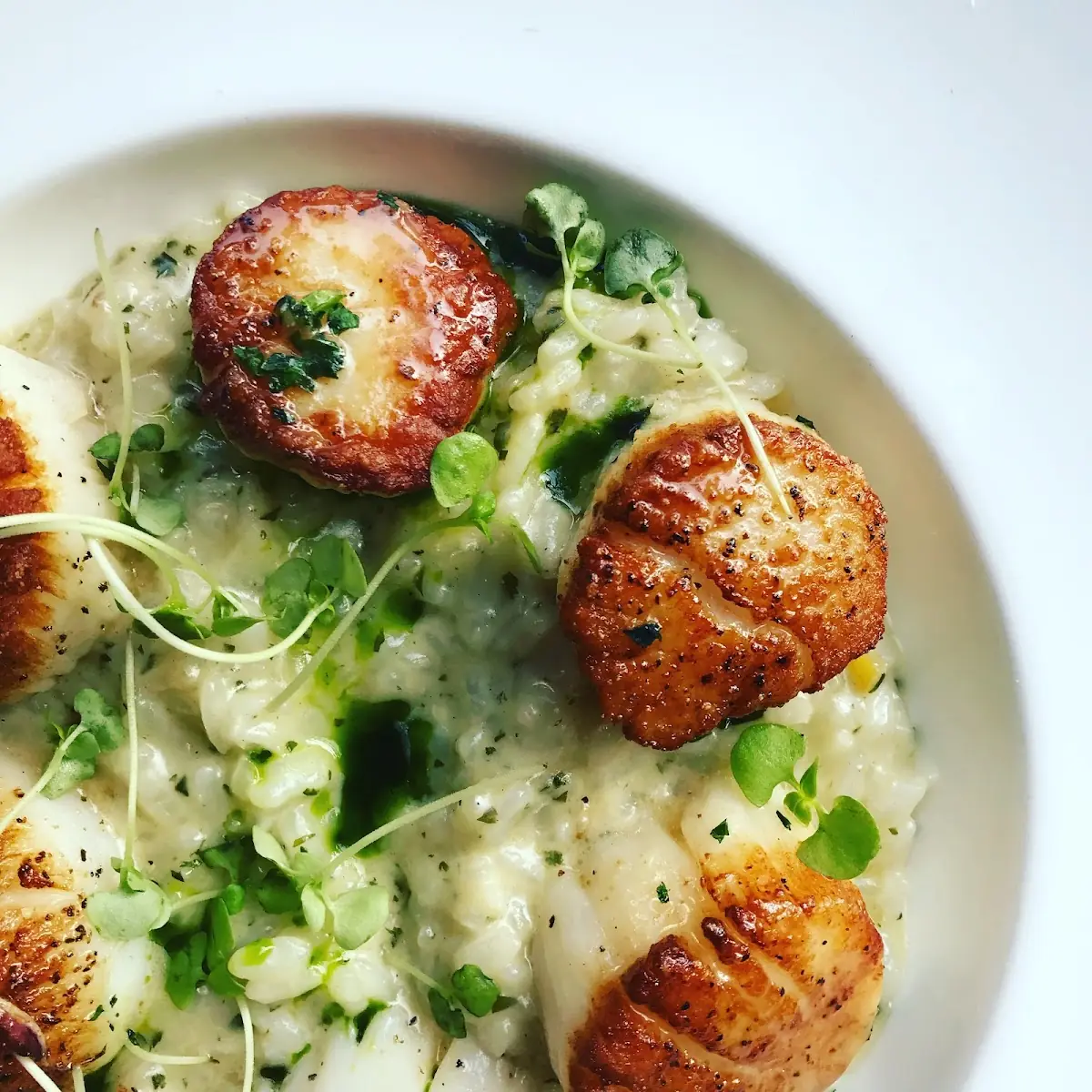 Blackened Shrimp Scallops