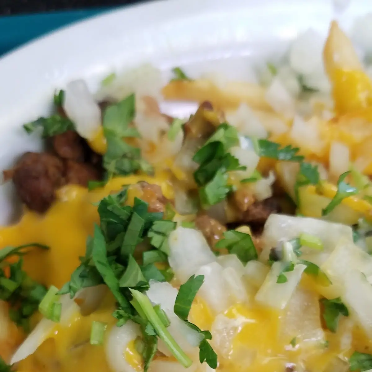 Carne Asada Fries