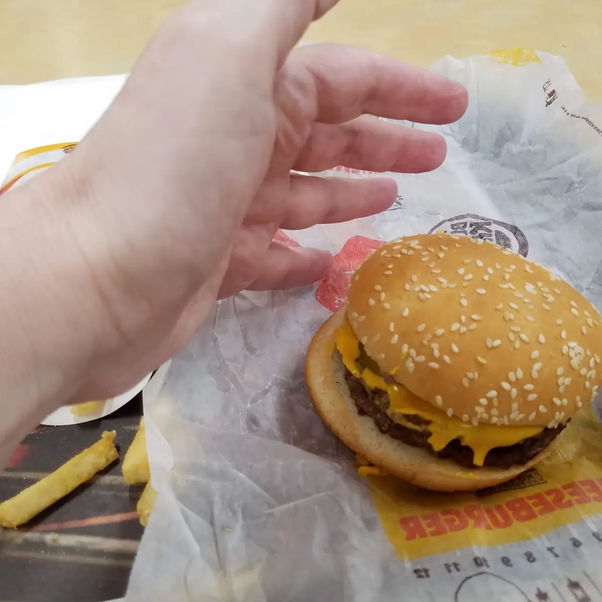 Burger King Cheese Burgers