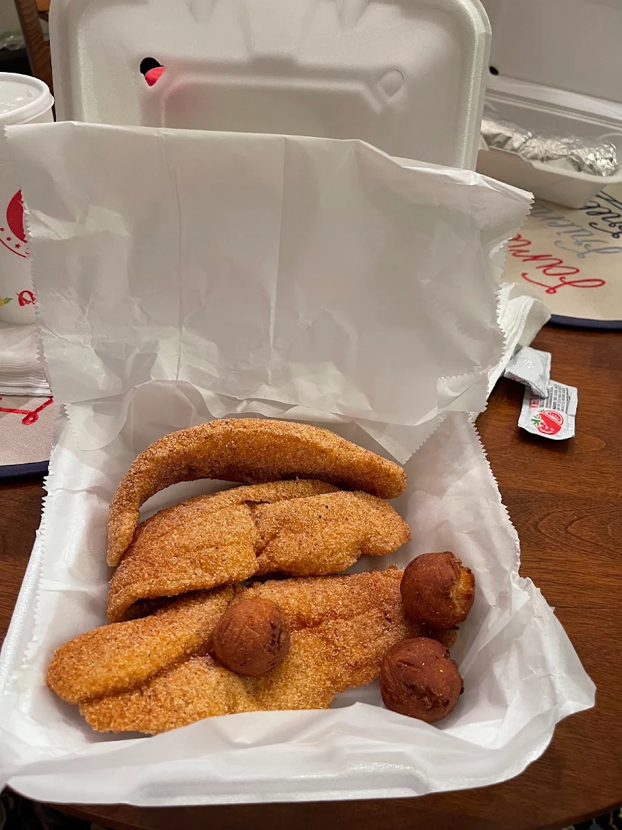 Catfish Fillet