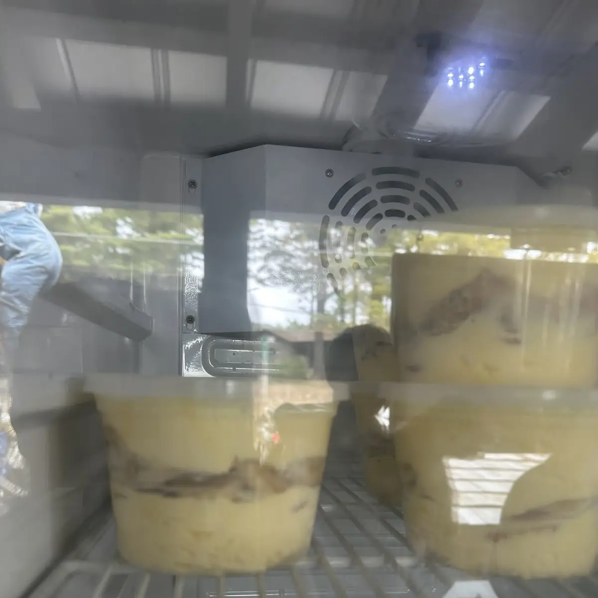 Banana Pudding