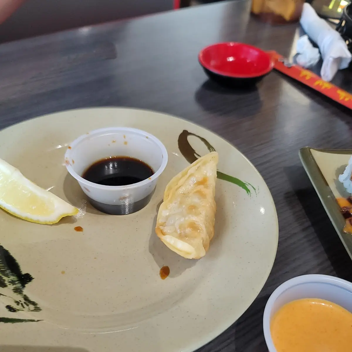 Chicken Gyoza 6