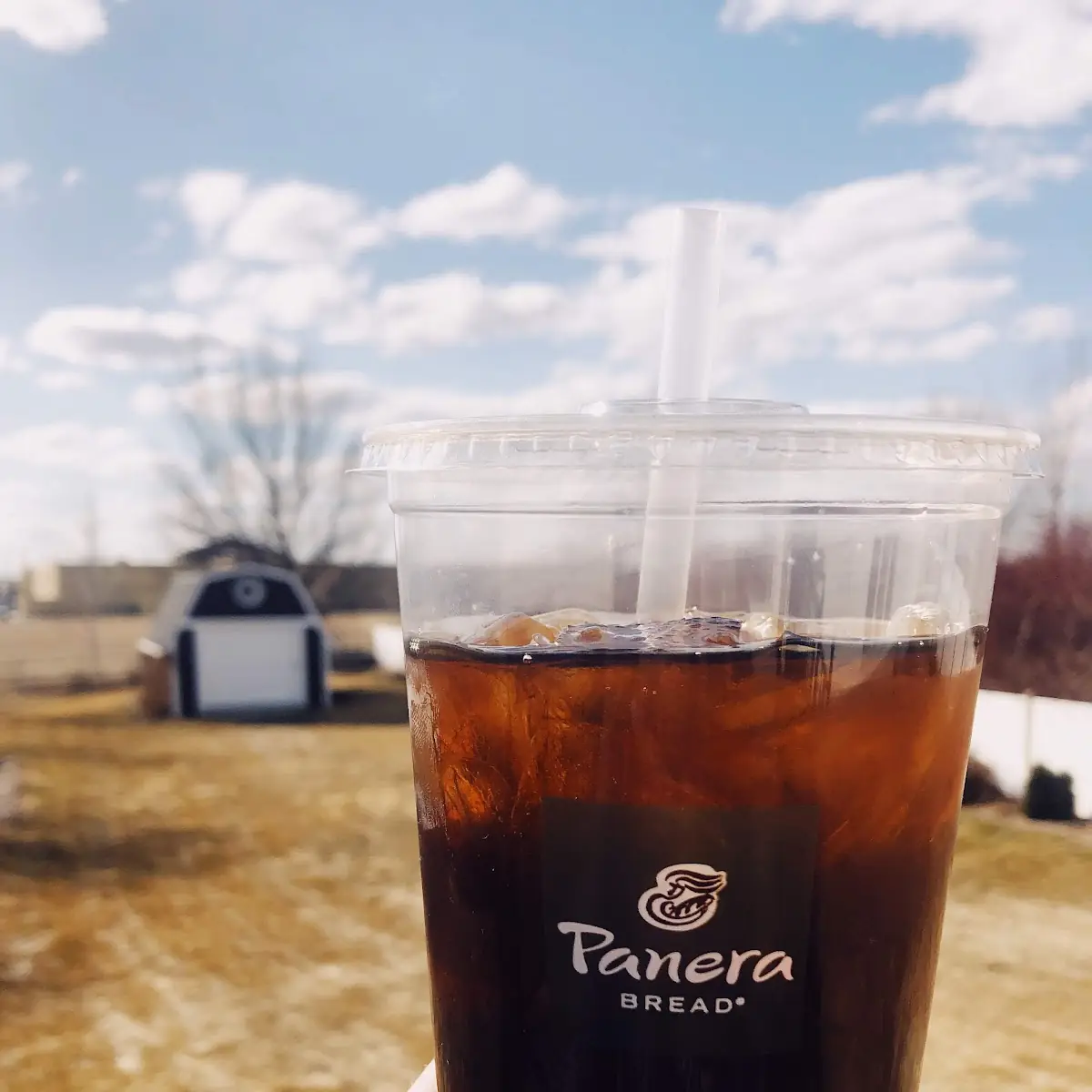 Cold Brew