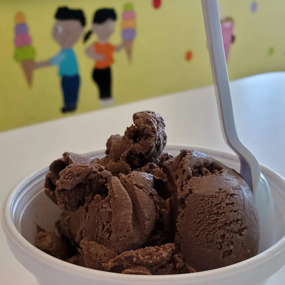 Chocolate Ice Cream