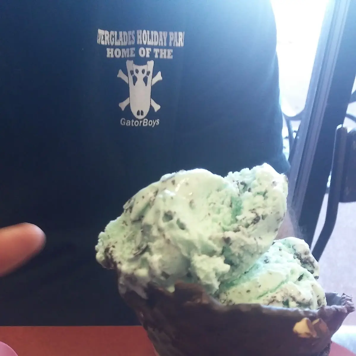 Mint Chocolate Chip Ice Cream Cone